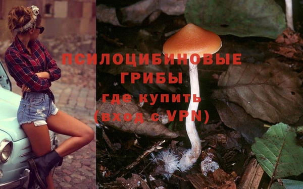 mdpv Баксан