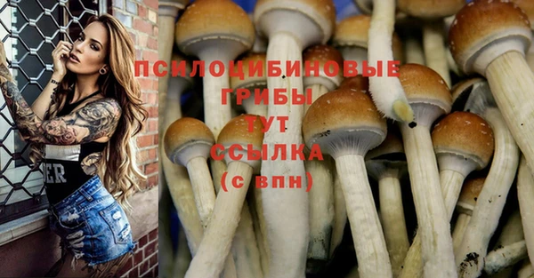 марки nbome Армянск
